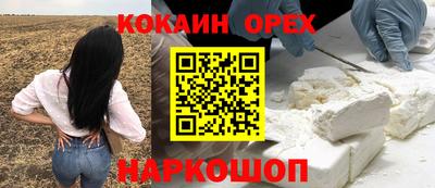 ECSTASY Новозыбков