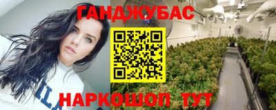 ECSTASY Новозыбков