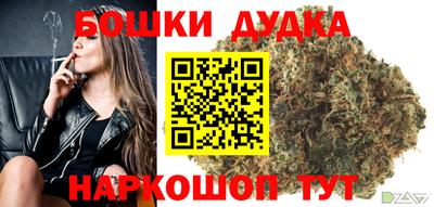 ECSTASY Новозыбков