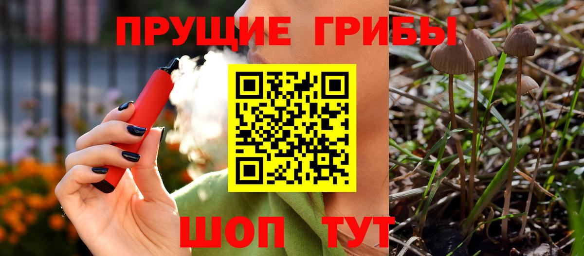 Сатка  Псилоцибиновые грибы Magic Shrooms  Вход с VPN 